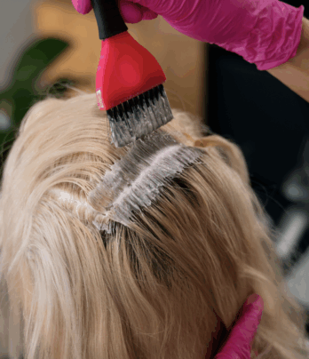 Root touch up w/ Partial Highlight Blowout